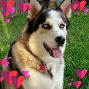 Meet your Posher, Sherry